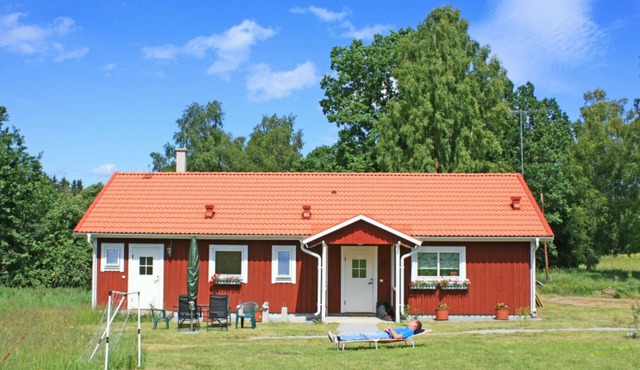 Vacation at a farmstead with horses and ponies