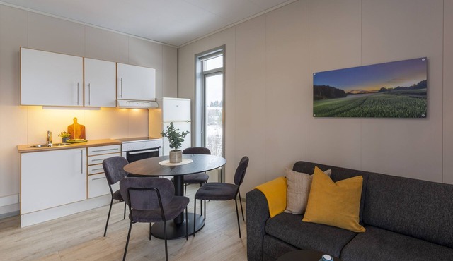 Vikingskipet Hamar Hostel & Apartments in Hamar