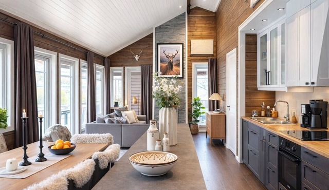 Voss- Myrkdalen|Mountain view |Stunning apartment|Free parking and car charging.
