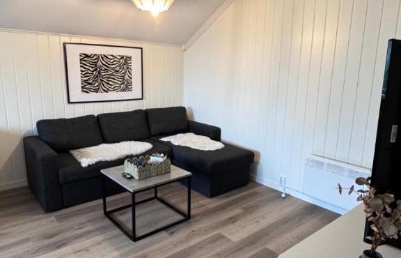 Welcome to a nice, bright and spacious apartment! in Fredrikstad