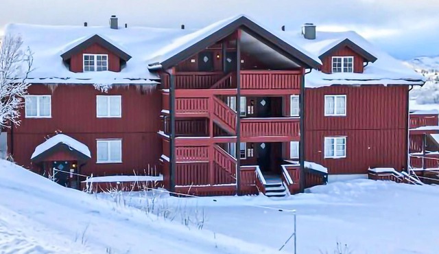 Welcome to the mountains and this large apartment at Haukelifjell.