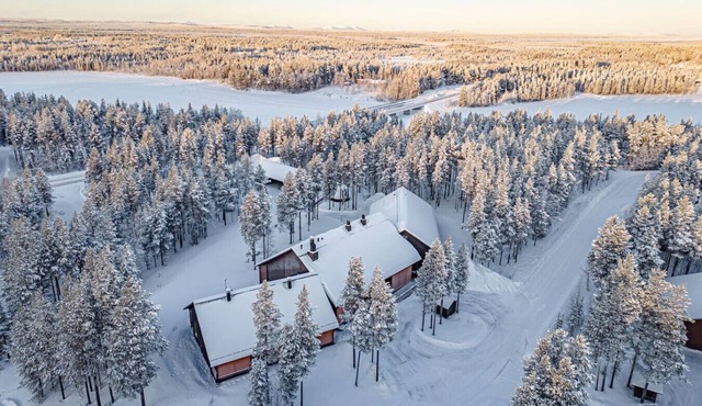 Wellevi 1 by Aavalevi