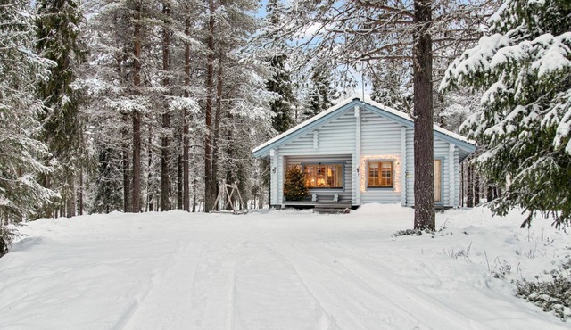 Ylläs-topin lomamaja 3 by Interhome