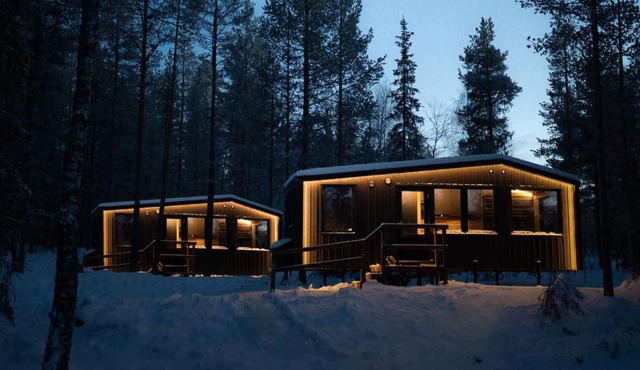 Yllas Forest Cabin for Nature Stay