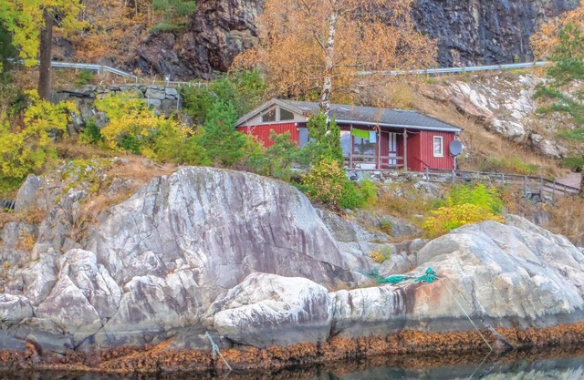 Vallavik 