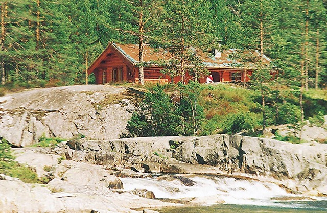 3 bedroom amazing home in Dølemo
