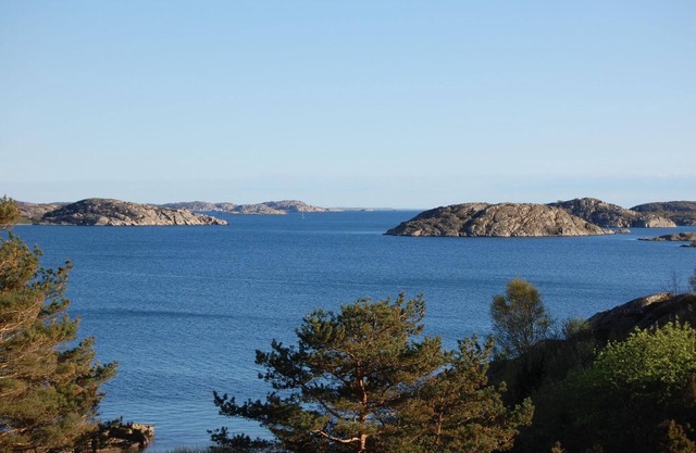 Holiday Kungshamn Persons Bedrooms 