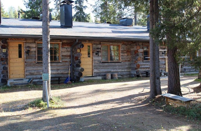 Rukanjuuri 