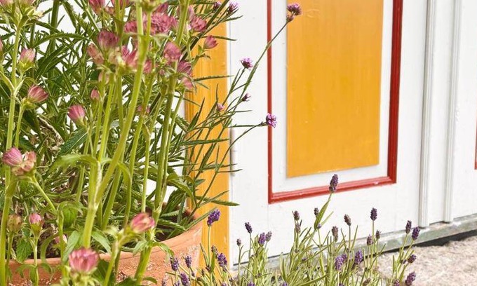 Lottorp Bed & Breakfast | 15 m² Bed and breakfast ∙ 2 guests