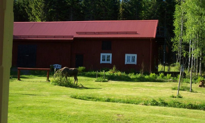 Hagfors House | 200 m² House ∙ 2 bedrooms ∙ 6 guests