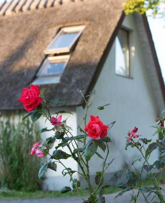 Vaster Bed & Breakfast | 95 m² Bed and breakfast ∙ 6 guests
