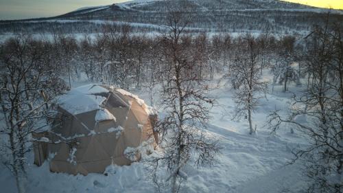 Kiruna Other | Aurora Dome