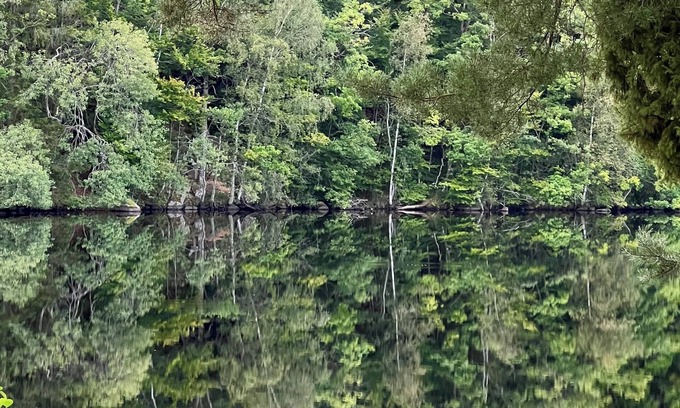 Oppinge House | Cozy vacation home with a view of the water and forest. Pet friendly.