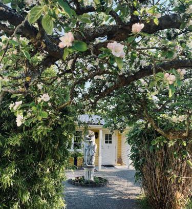 Borgholm Bed & Breakfast | Villa Sol B&B and Hostel