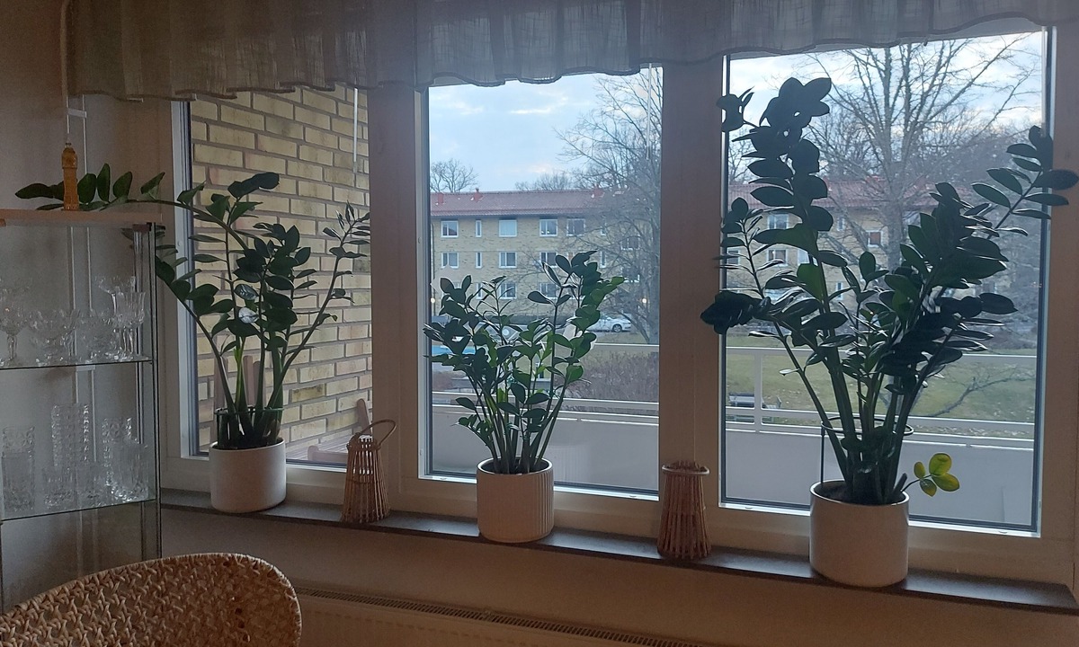 Linkoping Bed & Breakfast | Feel Like Your own Home