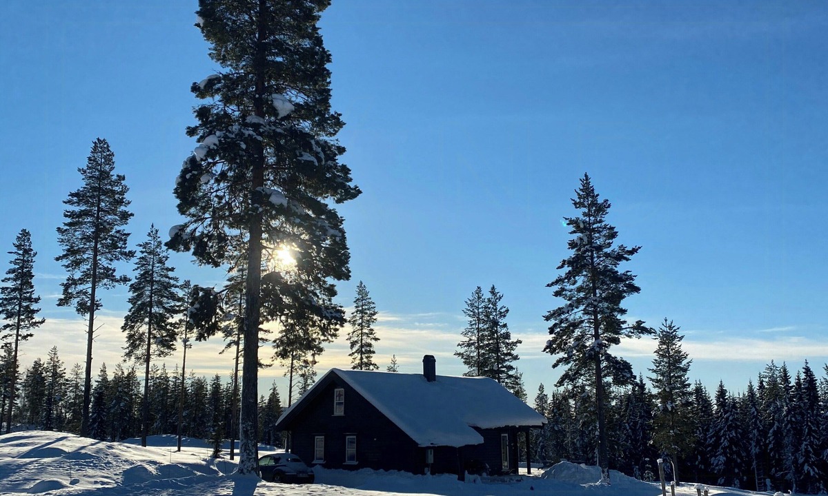 Amot House | Beautiful forest cabin near ski trails
