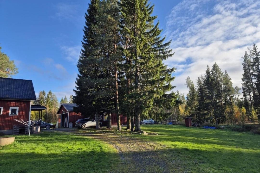 Faker Apartment | Waldidylli in Jämtland - Ruhe und Natur pur