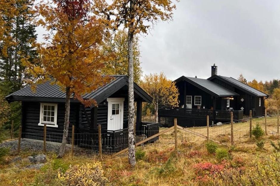 Gol Municipality House | Cozy cabin on Golsfjellet west - Auenhauglie