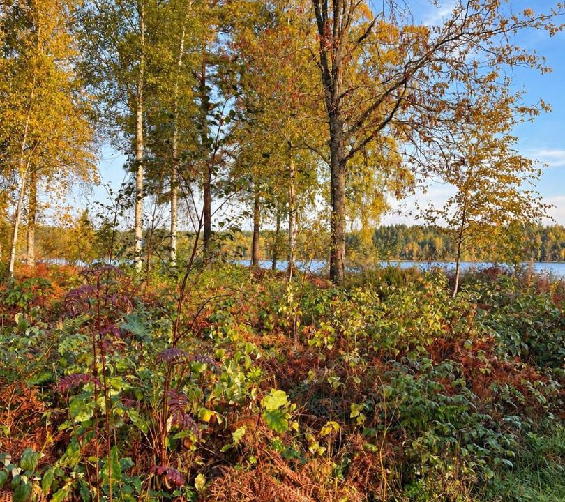 Svarvaremala House | Schwedenmagie Exklusives Schwedenhaus am See mit Boot und Gästehaus
