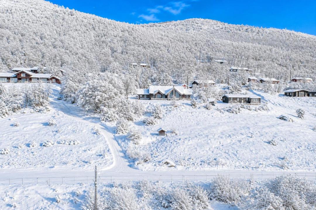 Hol Municipality House | Fjellro-Geilo Cabin Retreat