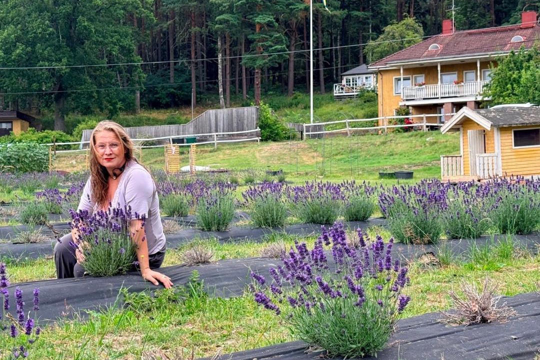 Upplands-Bro Municipality Bed & Breakfast | Villa Stockholm Lavendel
