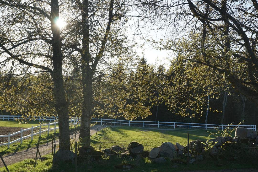 Kvidinge Bed & Breakfast | Söderåsens Forsgård