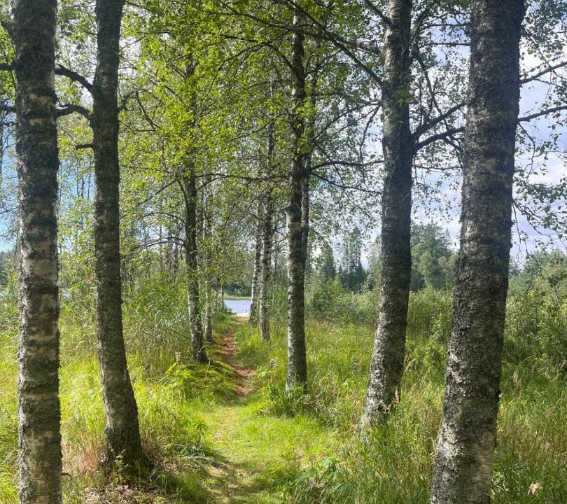 Kristinehamn House | Stuga lilla Vilången