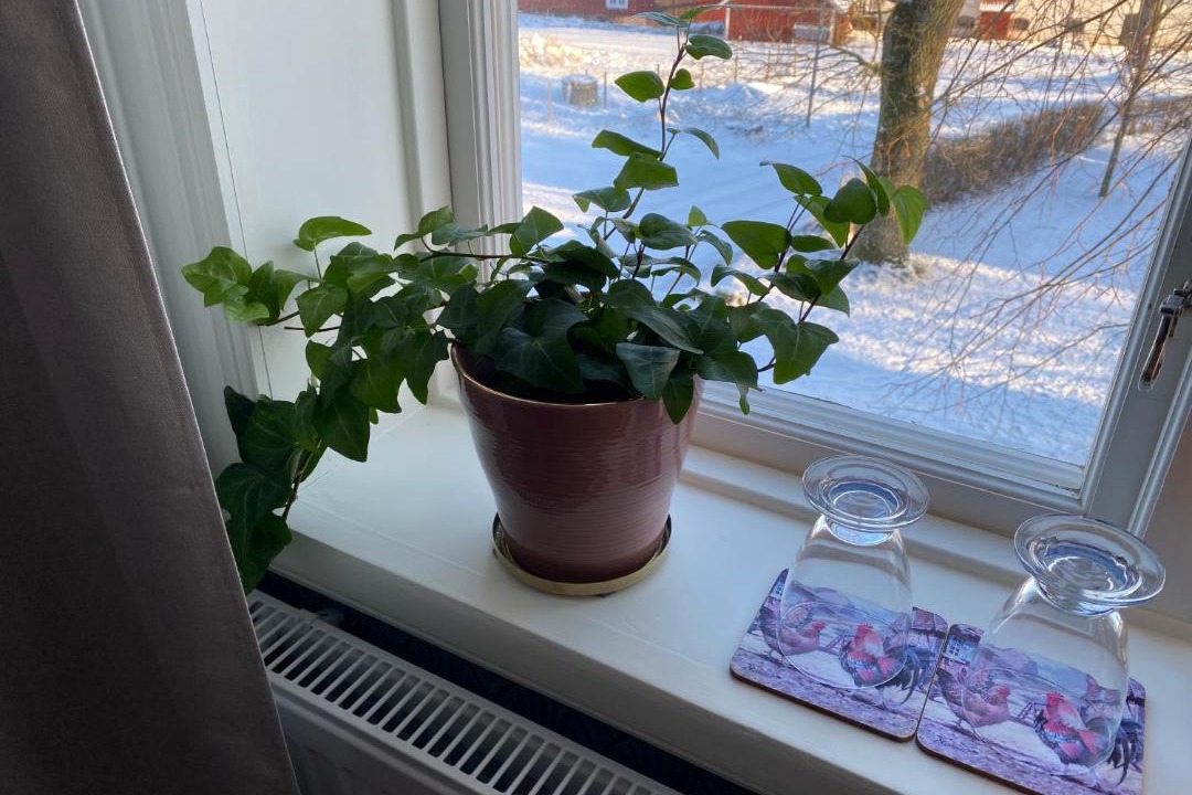 Bjalbo Bed & Breakfast | Bjälbo Gästhus B&B