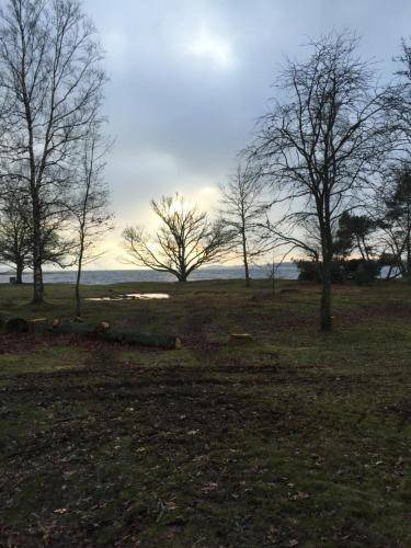 Photo of Others in Varnamo
