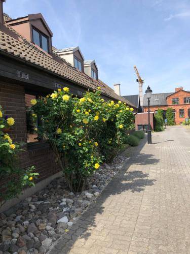 Photo of Buildings in Innerstaden