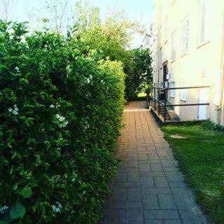 Photo of Outdoor in Karlshamn