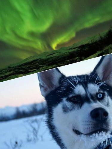 Photo of Others in Abisko