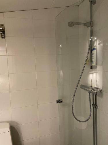 Photo of Bathroom in Are Municipality