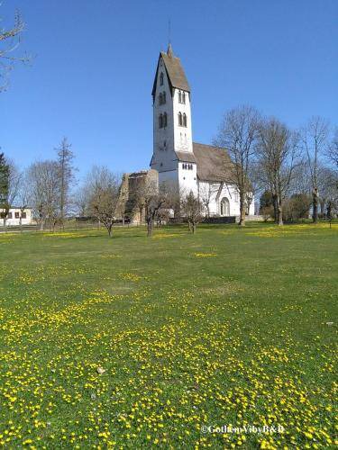 Photo of Buildings in Gothem