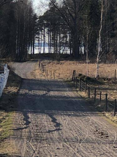 Photo of Others in Vargon