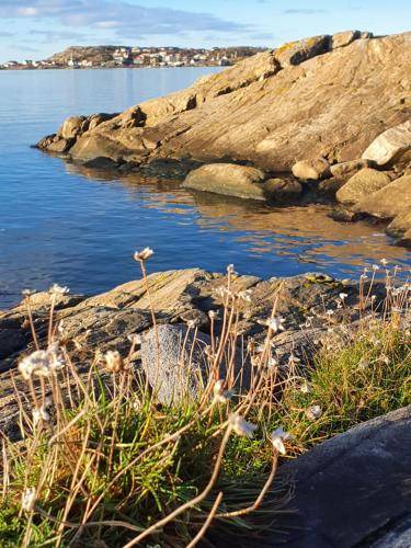 Photo of Outdoor in Bohus-Bjorko