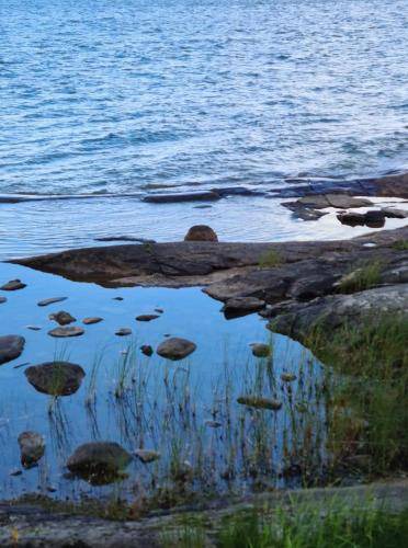 Photo of Others in Vargon