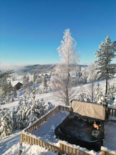 Photo of Others in Idrefjall