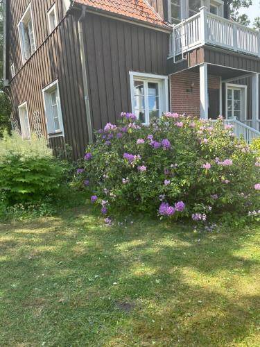 Photo of Others in Spanga - Tensta