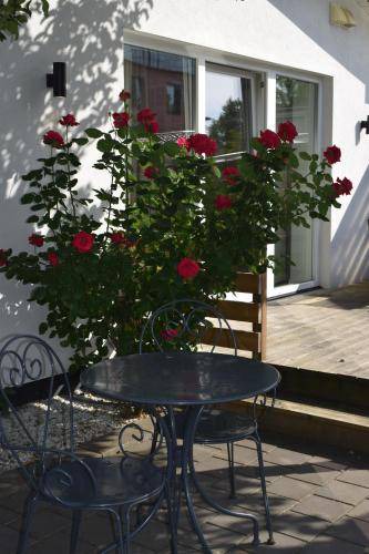 Photo of Others in Halmstad