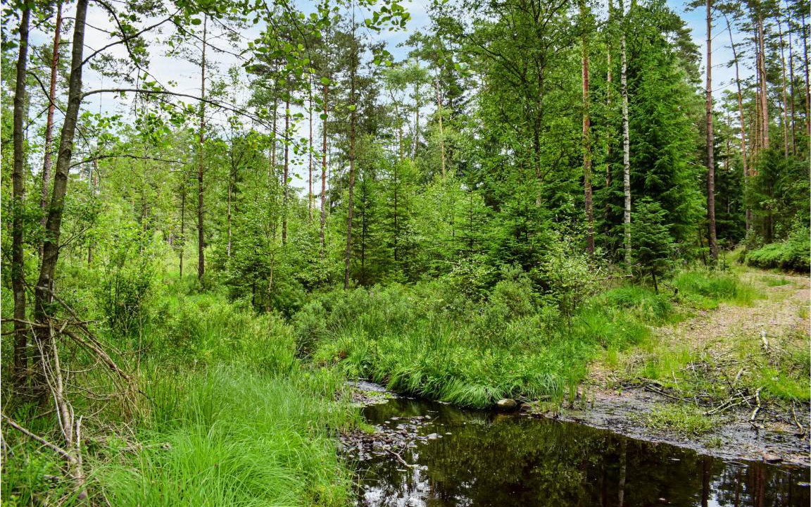 Photo of Others in Markaryd