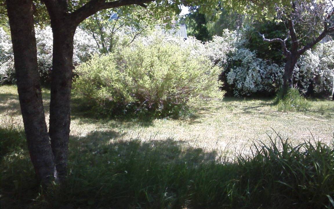 Photo of Outdoor in Ruda