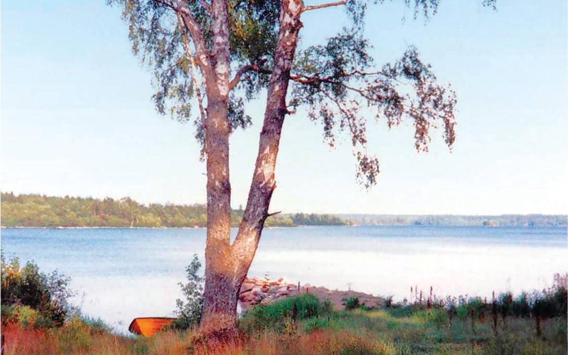 Photo of Others in Flattinge