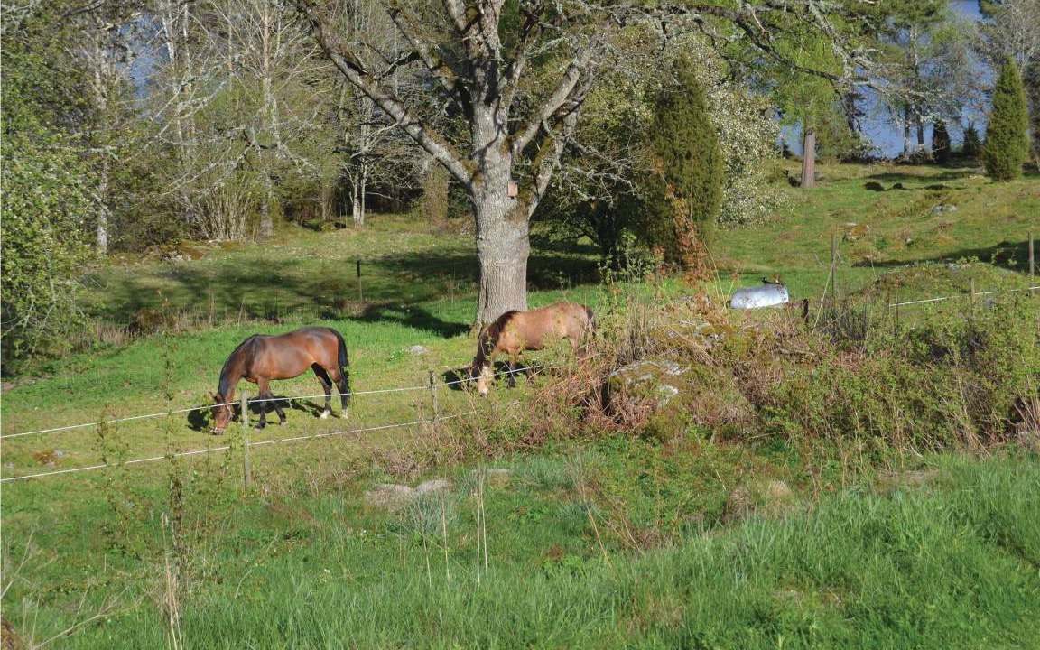 Photo of Others in Eksjo