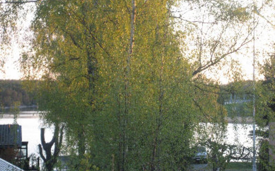 Photo of Others in Hastangsudd