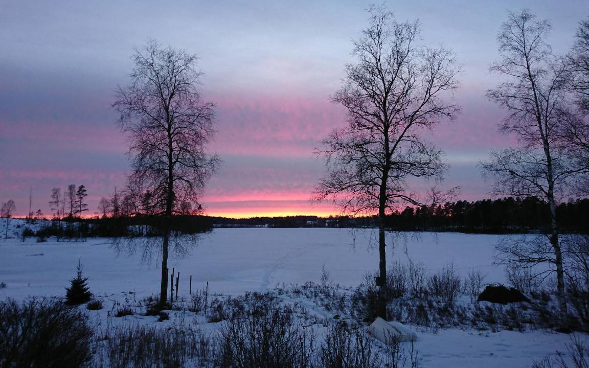 Photo of Others in Gallstad