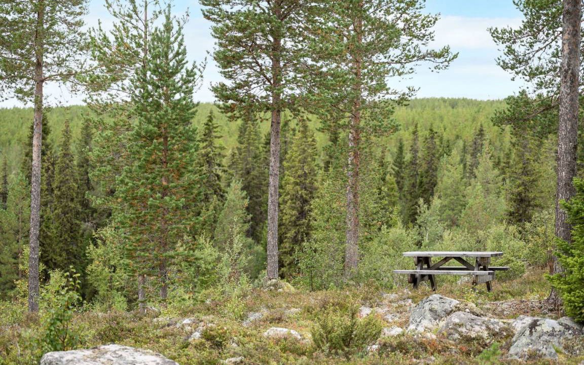 Photo of Others in Lofsdalen