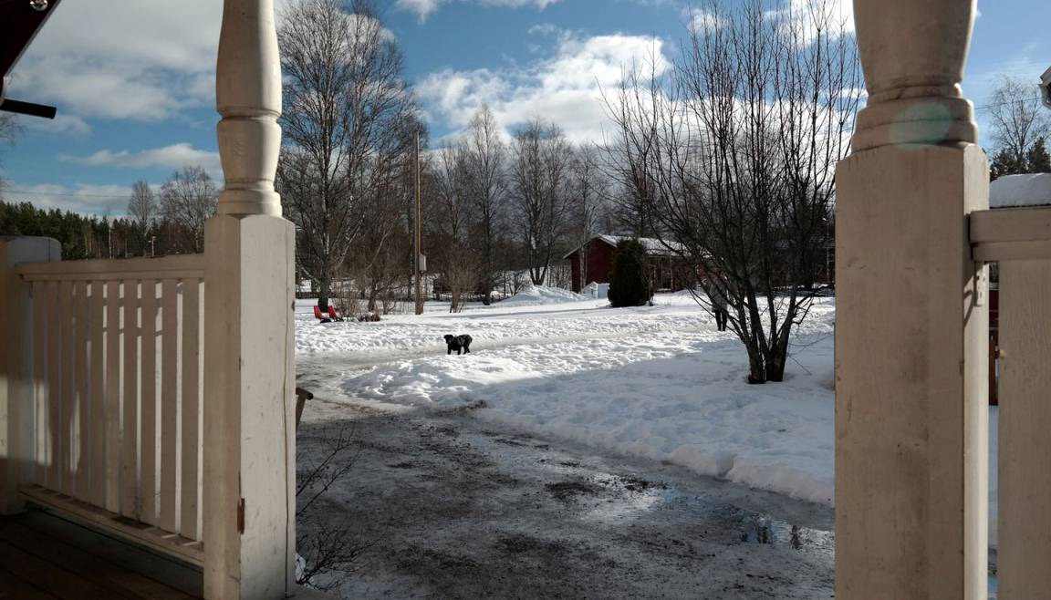 Photo of Others in Furudal