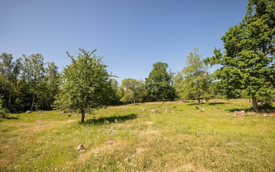 Photo of Others in Vimmerby Municipality