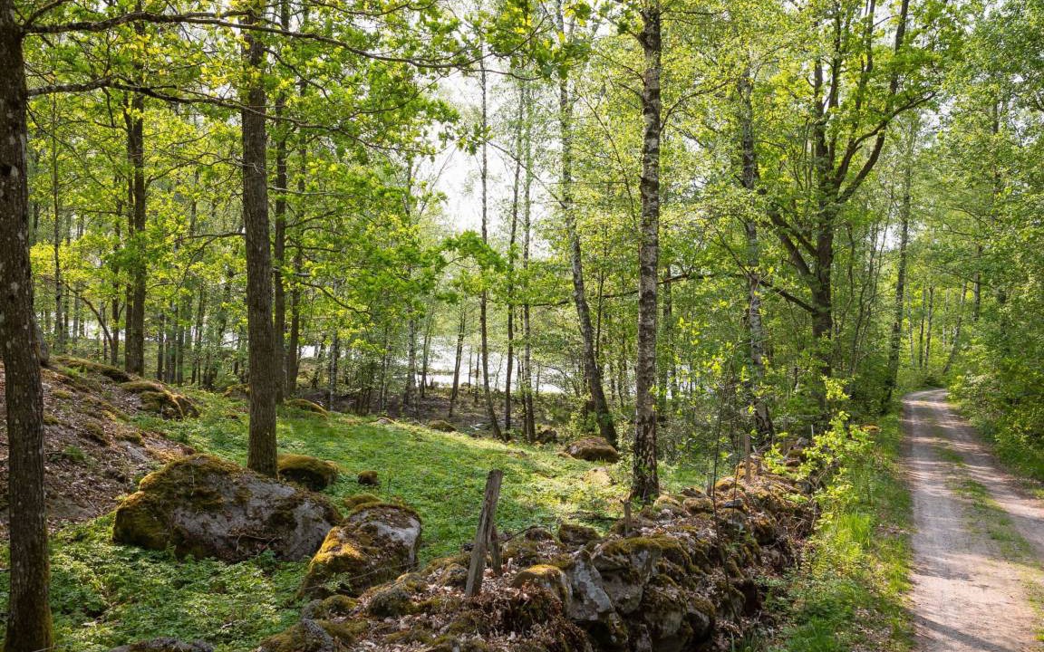 Photo of Others in Tvetaryd